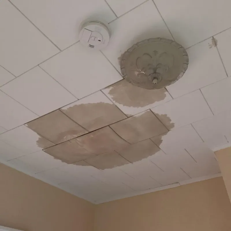 Ceiling Water Damage Repair in Ely, IA