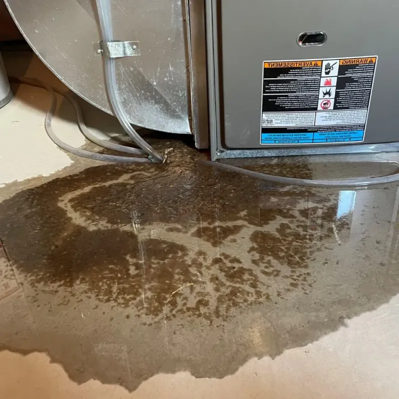 Pipe Burst and Leak Restoration in Ely, IA