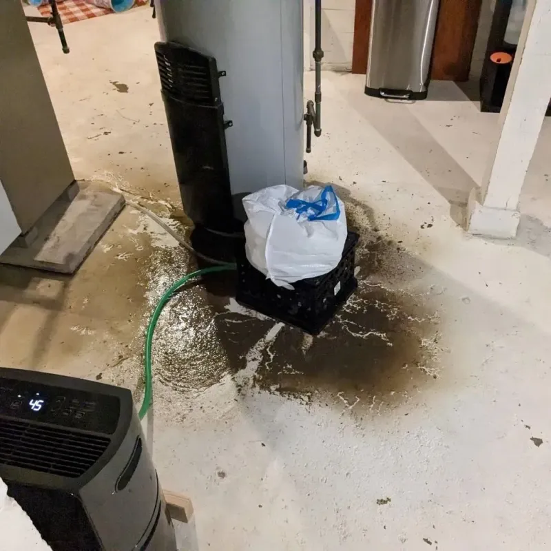 Sewage Backup Cleanup Service in Ely, IA